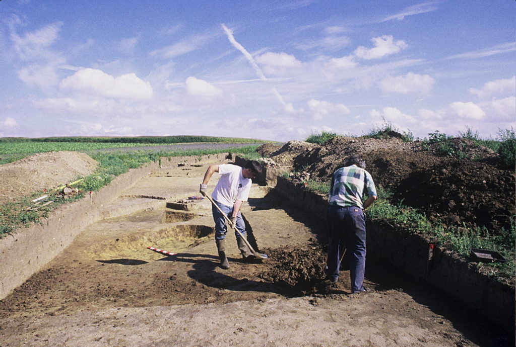 Faw B La Federation Des Archeologues Wallonie Bruxelles